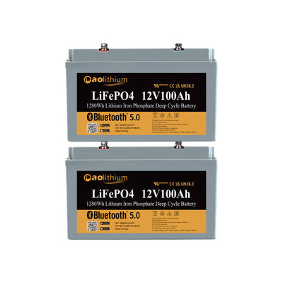 Aolithium 2 Batteries LiFePO4 12V 100Ah