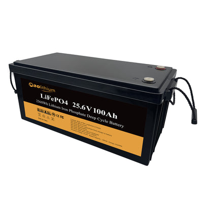 Aolithium Batterie au lithium LiFePO4 24V 100AH